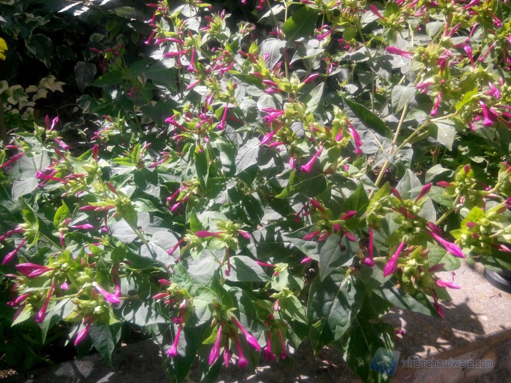 IMG 20130904 133840 Medium