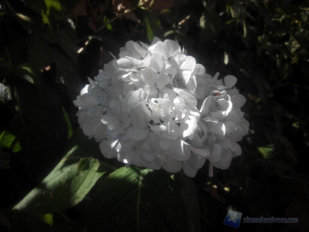 IMG 20130904 133855 Medium